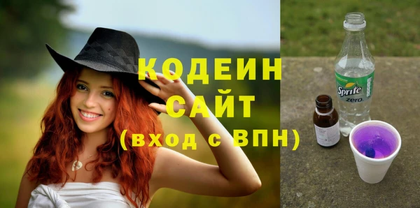 шишки Алзамай