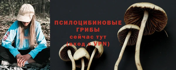 шишки Алзамай